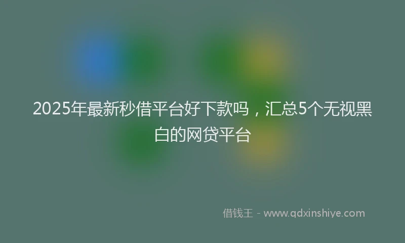 2025年最新秒借平台好下款吗，汇总5个无视黑白的网贷平台