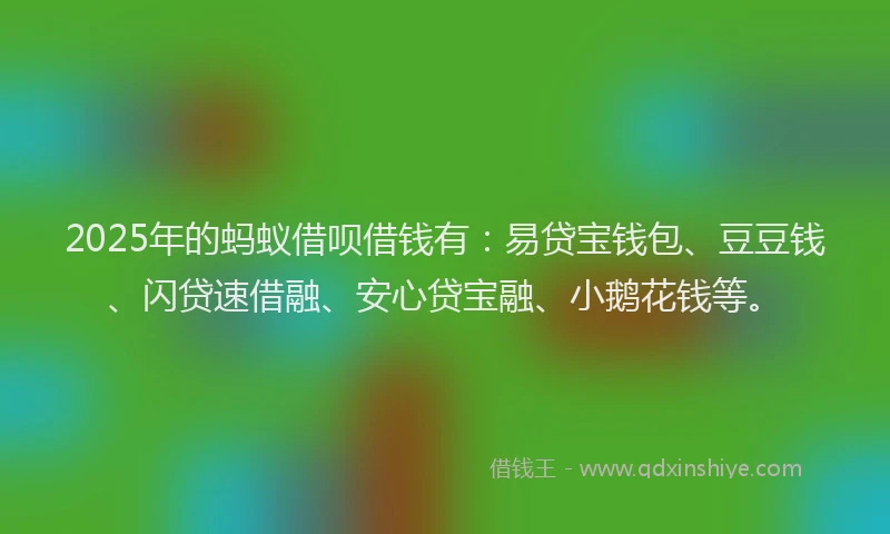 2025年的蚂蚁借呗借钱有：易贷宝钱包、豆豆钱、闪贷速借融、安心贷宝融、小鹅花钱等。