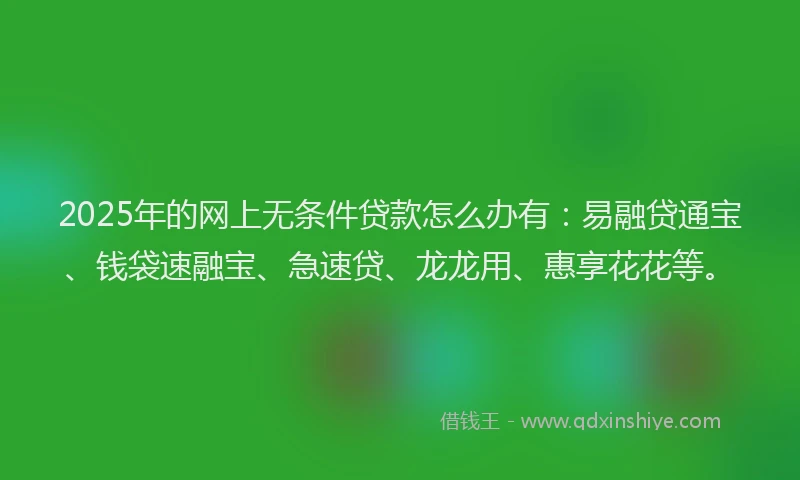 2025年的网上无条件贷款怎么办有：易融贷通宝、钱袋速融宝、急速贷、龙龙用、惠享花花等。