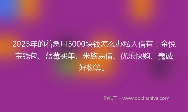 2025年的着急用5000块钱怎么办私人借有：金悦宝钱包、蓝莓买单、米族易借、优乐快购、鑫诚好物等。