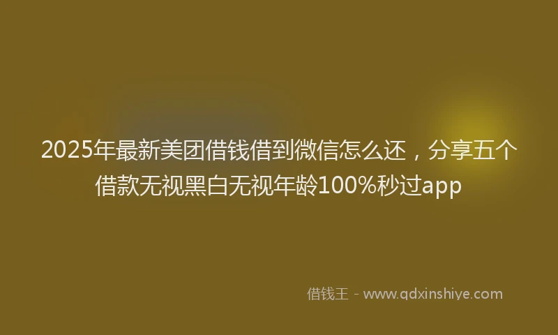 2025年最新美团借钱借到微信怎么还，分享五个借款无视黑白无视年龄100%秒过app