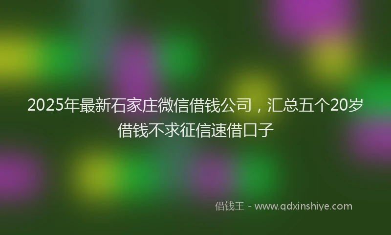 2025年最新石家庄微信借钱公司，汇总五个20岁借钱不求征信速借口子