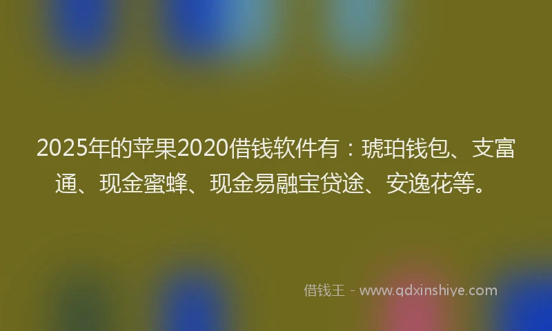 2025年的苹果2020借钱软件有：琥珀钱包、支富通、现金蜜蜂、现金易融宝贷途、安逸花等。