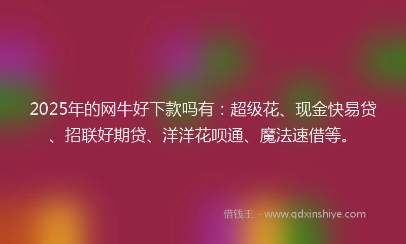 2025年的网牛好下款吗有：超级花、现金快易贷、招联好期贷、洋洋花呗通、魔法速借等。