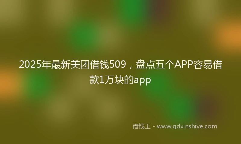 2025年最新美团借钱509，盘点五个APP容易借款1万块的app