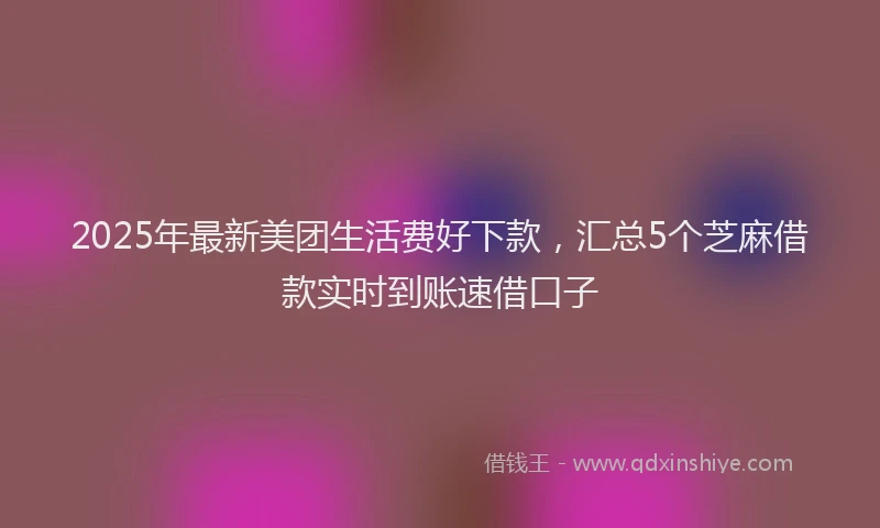 2025年最新美团生活费好下款，汇总5个芝麻借款实时到账速借口子