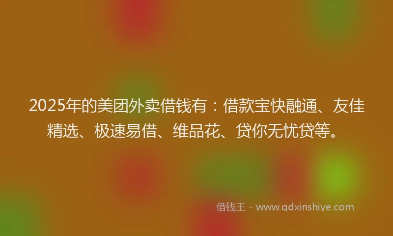 2025年的美团外卖借钱有：借款宝快融通、友佳精选、极速易借、维品花、贷你无忧贷等。