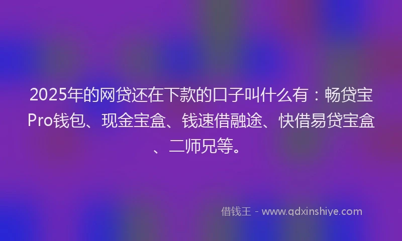 2025年的网贷还在下款的口子叫什么有：畅贷宝Pro钱包、现金宝盒、钱速借融途、快借易贷宝盒、二师兄等。
