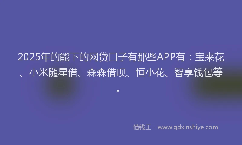 2025年的能下的网贷口子有那些APP有：宝来花、小米随星借、森森借呗、恒小花、智享钱包等。