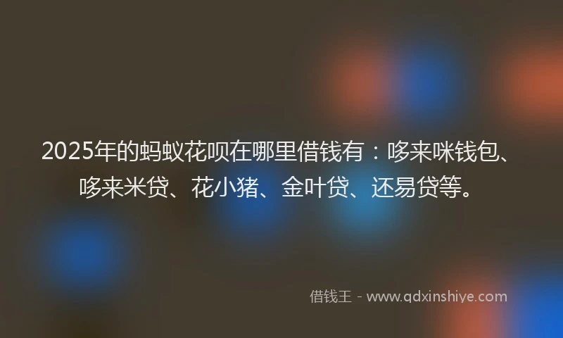 2025年的蚂蚁花呗在哪里借钱有：哆来咪钱包、哆来米贷、花小猪、金叶贷、还易贷等。