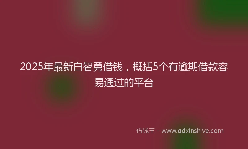 2025年最新白智勇借钱，概括5个有逾期借款容易通过的平台