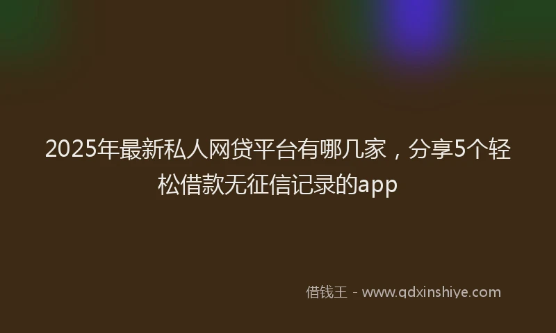 2025年最新私人网贷平台有哪几家，分享5个轻松借款无征信记录的app