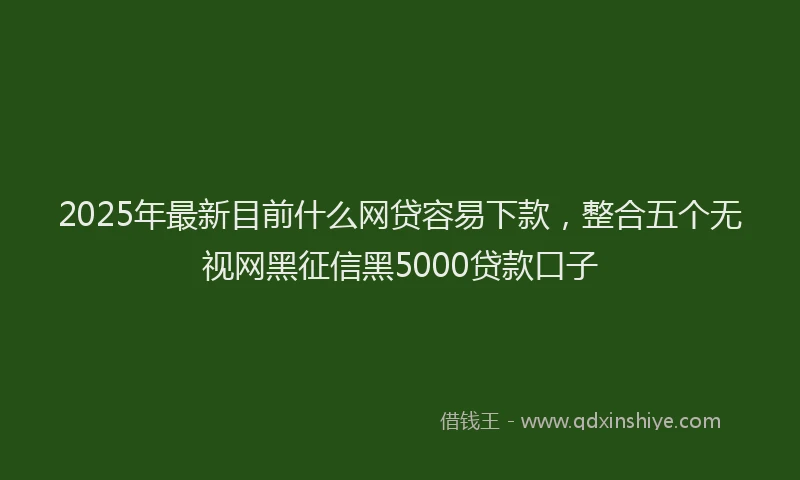 2025年最新目前什么网贷容易下款，整合五个无视网黑征信黑5000贷款口子