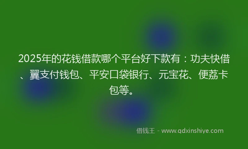 2025年的花钱借款哪个平台好下款有：功夫快借、翼支付钱包、平安口袋银行、元宝花、便荔卡包等。