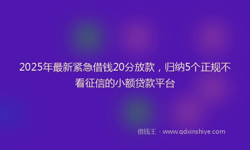 2025年最新紧急借钱20分放款，归纳5个正规不看征信的小额贷款平台