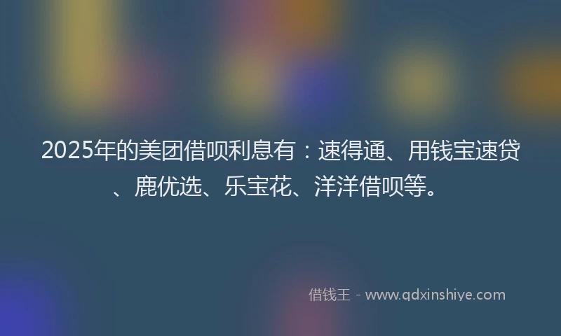 2025年的美团借呗利息有：速得通、用钱宝速贷、鹿优选、乐宝花、洋洋借呗等。