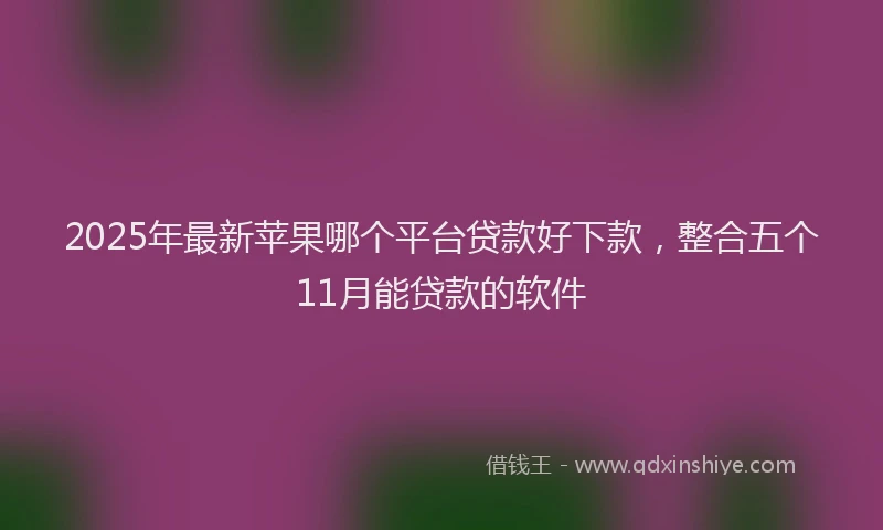 2025年最新苹果哪个平台贷款好下款，整合五个11月能贷款的软件