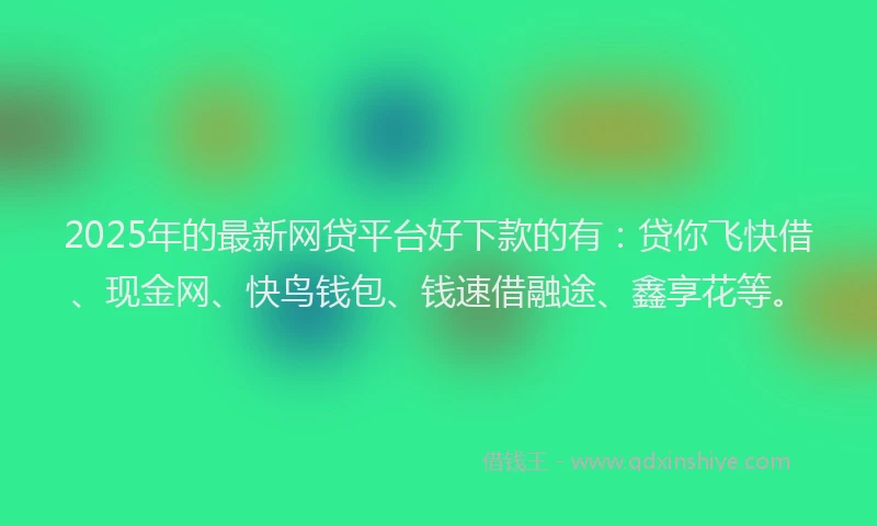 2025年的最新网贷平台好下款的有：贷你飞快借、现金网、快鸟钱包、钱速借融途、鑫享花等。