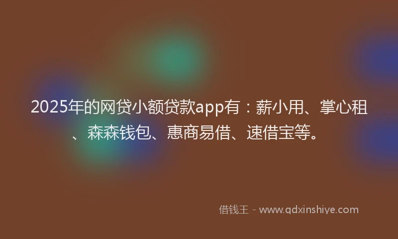 2025年的网贷小额贷款app有：薪小用、掌心租、森森钱包、惠商易借、速借宝等。