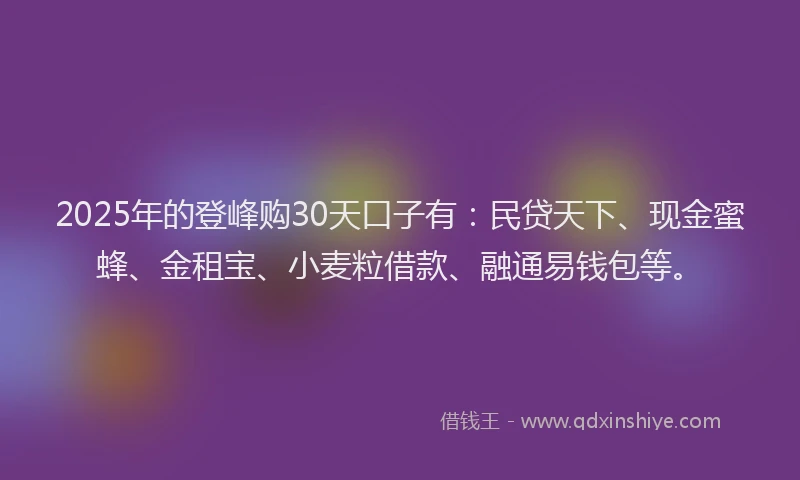 2025年的登峰购30天口子有：民贷天下、现金蜜蜂、金租宝、小麦粒借款、融通易钱包等。