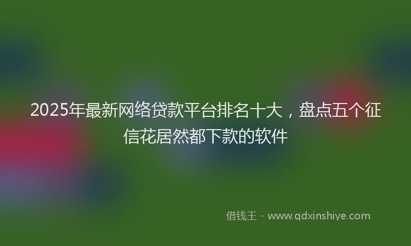 2025年最新网络贷款平台排名十大，盘点五个征信花居然都下款的软件