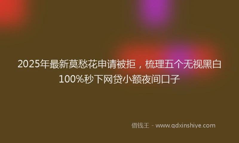 2025年最新莫愁花申请被拒，梳理五个无视黑白100%秒下网贷小额夜间口子