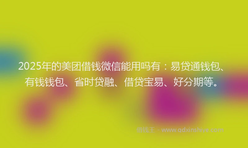 2025年的美团借钱微信能用吗有：易贷通钱包、有钱钱包、省时贷融、借贷宝易、好分期等。