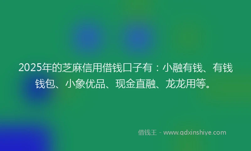 2025年的芝麻信用借钱口子有：小融有钱、有钱钱包、小象优品、现金直融、龙龙用等。