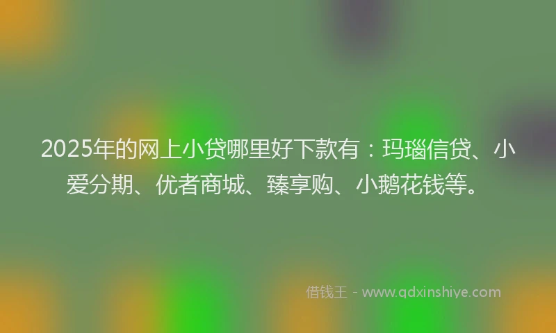 2025年的网上小贷哪里好下款有：玛瑙信贷、小爱分期、优者商城、臻享购、小鹅花钱等。