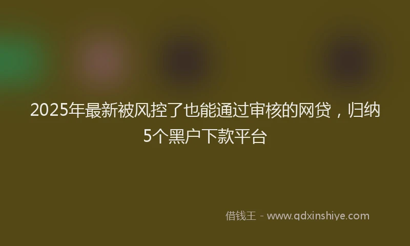2025年最新被风控了也能通过审核的网贷，归纳5个黑户下款平台