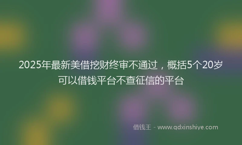 2025年最新美借挖财终审不通过，概括5个20岁可以借钱平台不查征信的平台