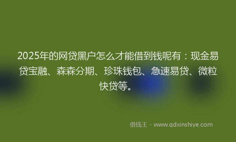 2025年的网贷黑户怎么才能借到钱呢有：现金易贷宝融、森森分期、珍珠钱包、急速易贷、微粒快贷等。