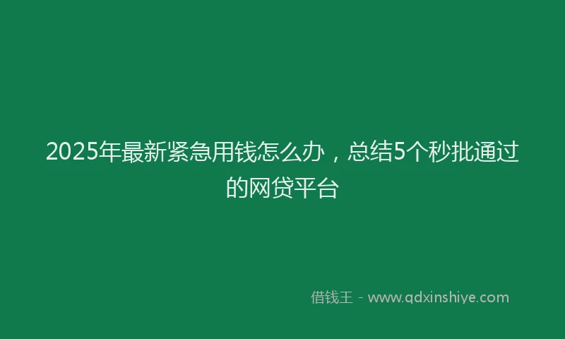 2025年最新紧急用钱怎么办，总结5个秒批通过的网贷平台