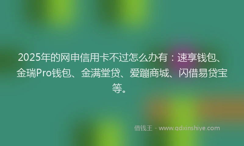 2025年的网申信用卡不过怎么办有：速享钱包、金瑞Pro钱包、金满堂贷、爱蹦商城、闪借易贷宝等。