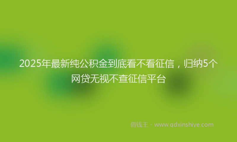 2025年最新纯公积金到底看不看征信，归纳5个网贷无视不查征信平台