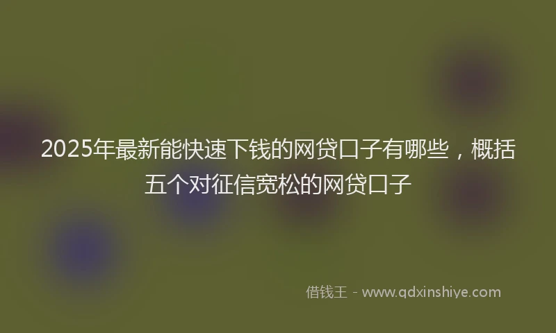 2025年最新能快速下钱的网贷口子有哪些，概括五个对征信宽松的网贷口子