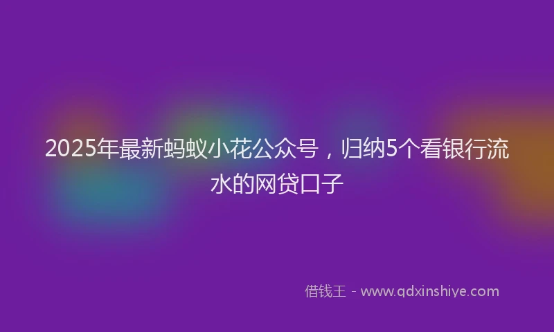 2025年最新蚂蚁小花公众号，归纳5个看银行流水的网贷口子