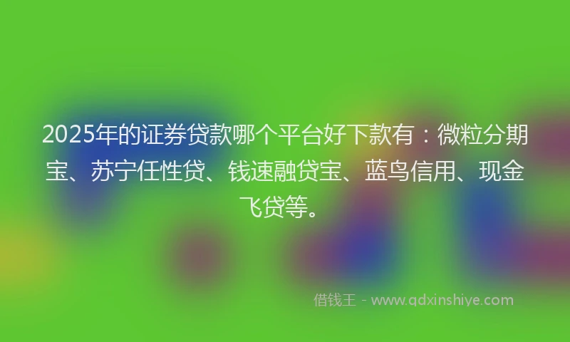 2025年的证券贷款哪个平台好下款有：微粒分期宝、苏宁任性贷、钱速融贷宝、蓝鸟信用、现金飞贷等。