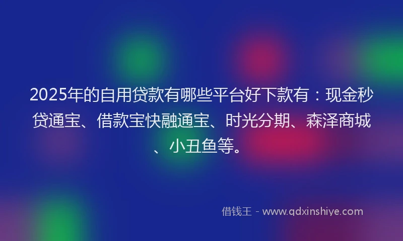 2025年的自用贷款有哪些平台好下款有：现金秒贷通宝、借款宝快融通宝、时光分期、森泽商城、小丑鱼等。