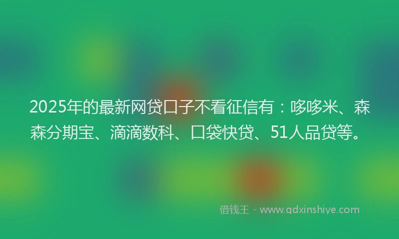 2025年的最新网贷口子不看征信有：哆哆米、森森分期宝、滴滴数科、口袋快贷、51人品贷等。