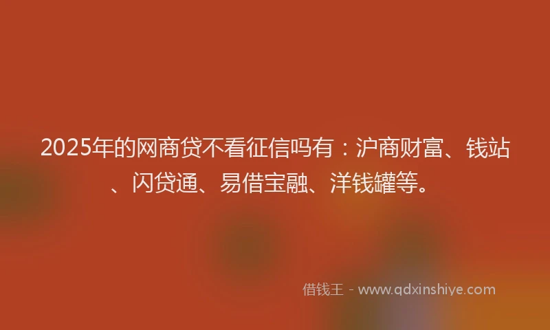 2025年的网商贷不看征信吗有：沪商财富、钱站、闪贷通、易借宝融、洋钱罐等。