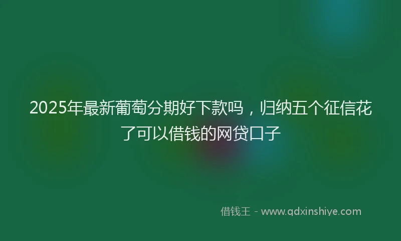 2025年最新葡萄分期好下款吗，归纳五个征信花了可以借钱的网贷口子
