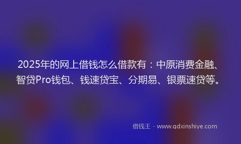 2025年的网上借钱怎么借款有：中原消费金融、智贷Pro钱包、钱速贷宝、分期易、银票速贷等。