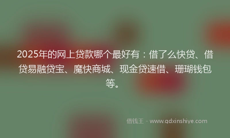 2025年的网上贷款哪个最好有：借了么快贷、借贷易融贷宝、魔快商城、现金贷速借、珊瑚钱包等。