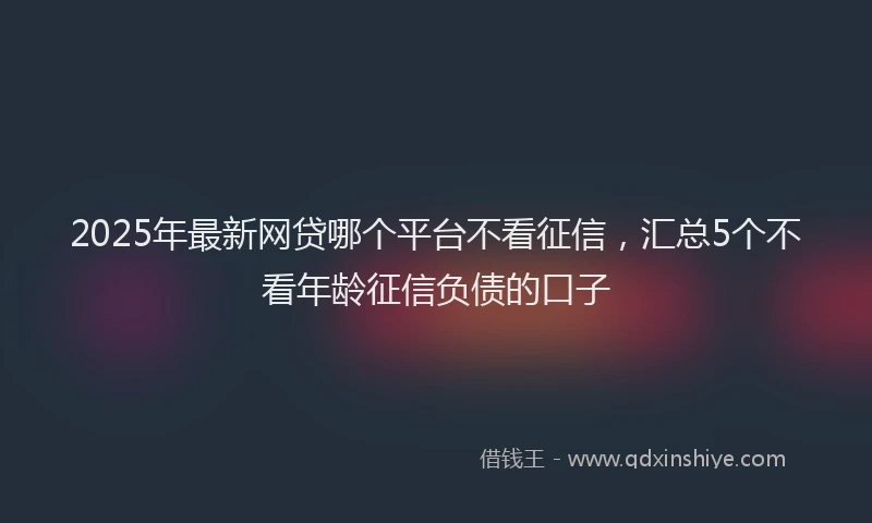2025年最新网贷哪个平台不看征信，汇总5个不看年龄征信负债的口子