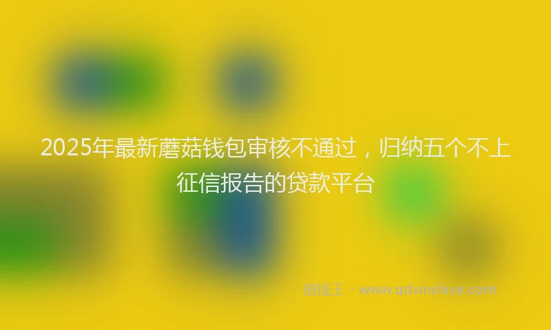 2025年最新蘑菇钱包审核不通过，归纳五个不上征信报告的贷款平台