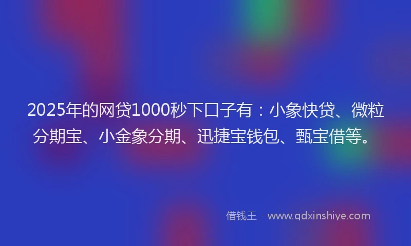 2025年的网贷1000秒下口子有：小象快贷、微粒分期宝、小金象分期、迅捷宝钱包、甄宝借等。