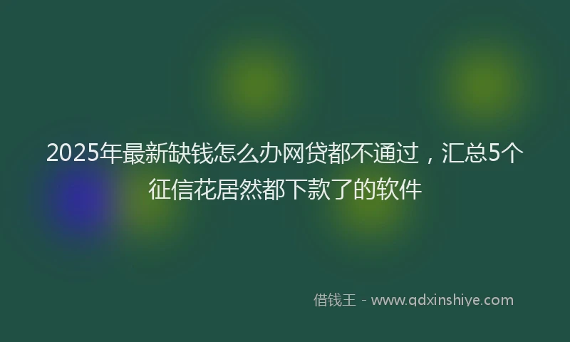 2025年最新缺钱怎么办网贷都不通过，汇总5个征信花居然都下款了的软件