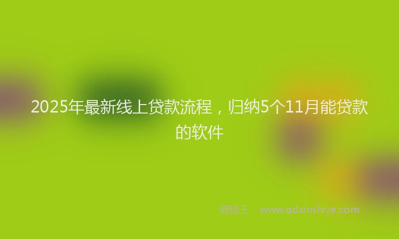 2025年最新线上贷款流程，归纳5个11月能贷款的软件