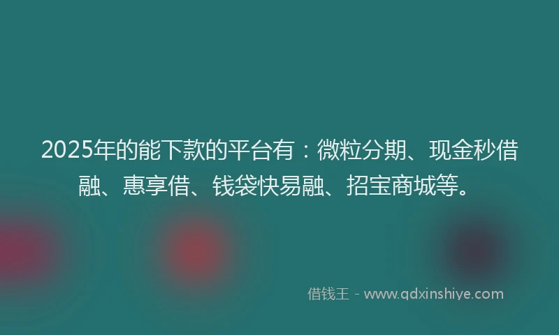 2025年的能下款的平台有：微粒分期、现金秒借融、惠享借、钱袋快易融、招宝商城等。